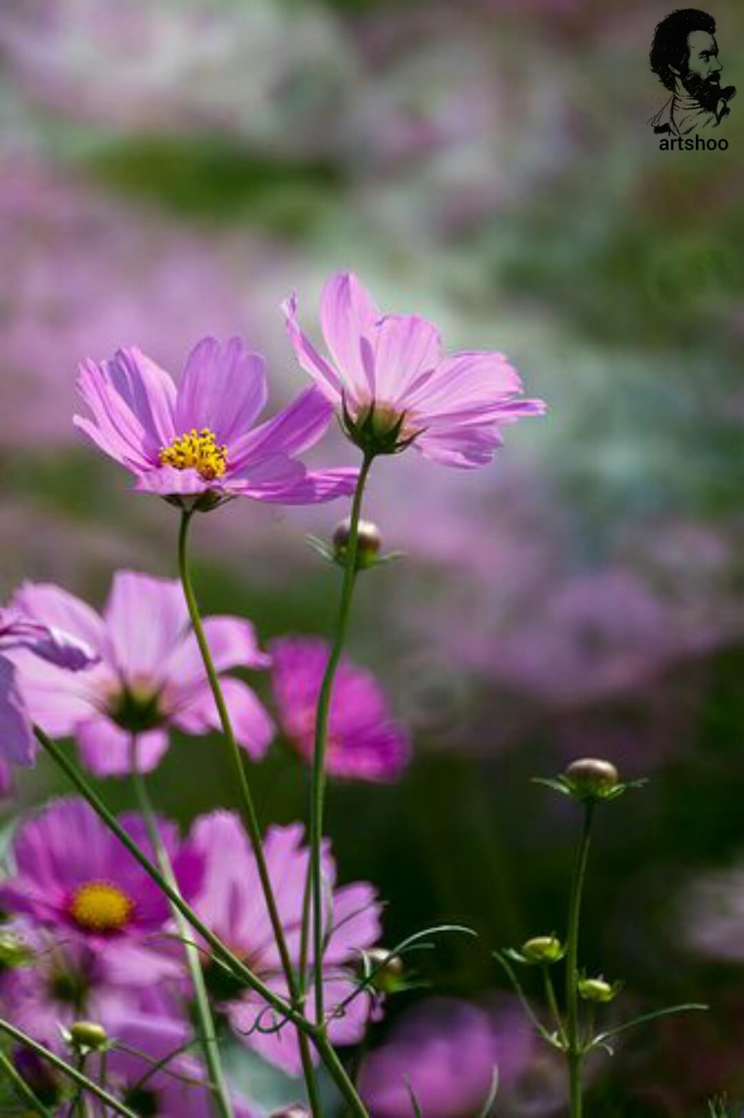 آموزش نقاشی رنگ روغن